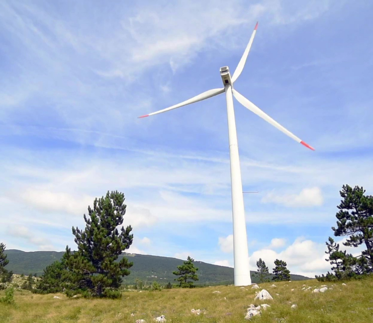 Sustainability Image