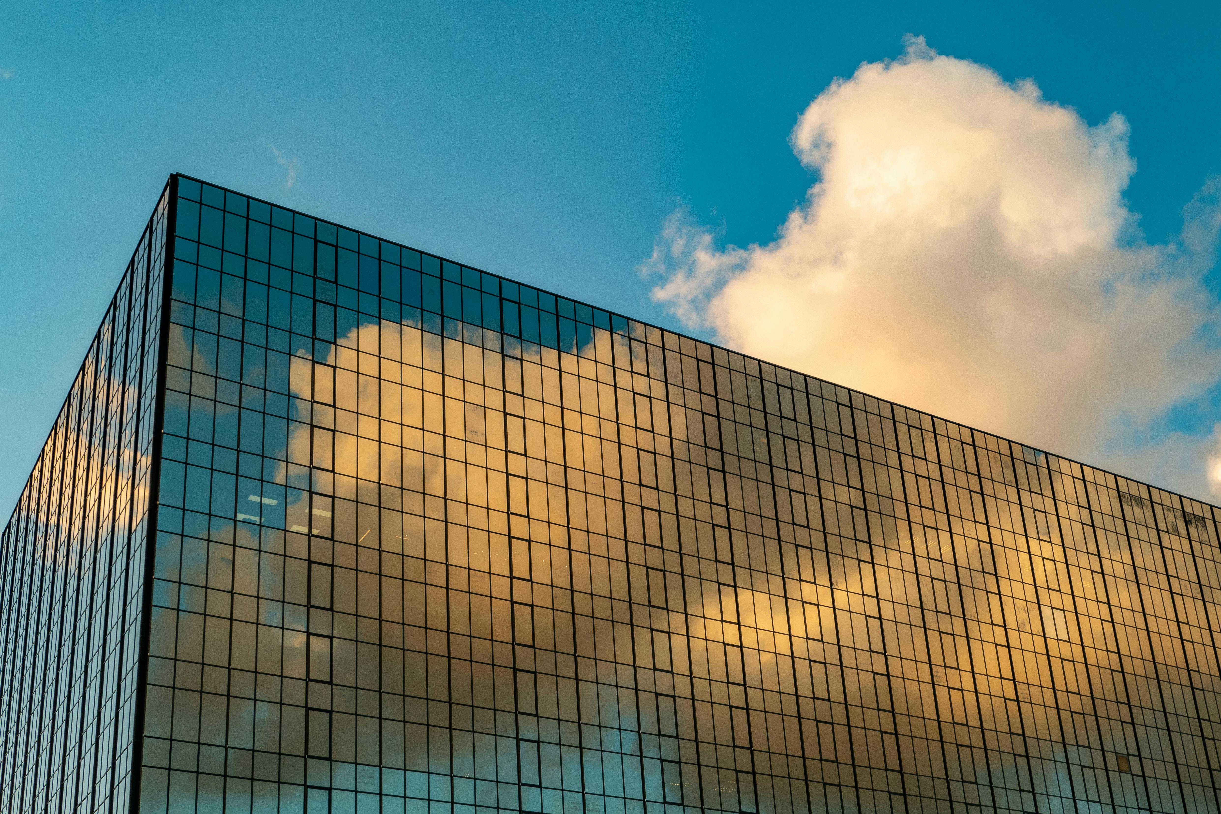 pexels-jimbear-7308522